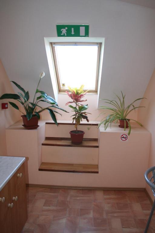 Old Town Hostel Haapsalu Δωμάτιο φωτογραφία